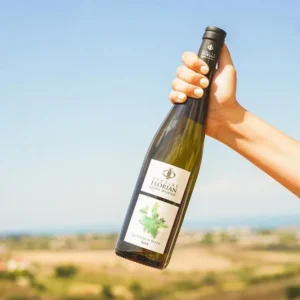 Hand holding wine bottle