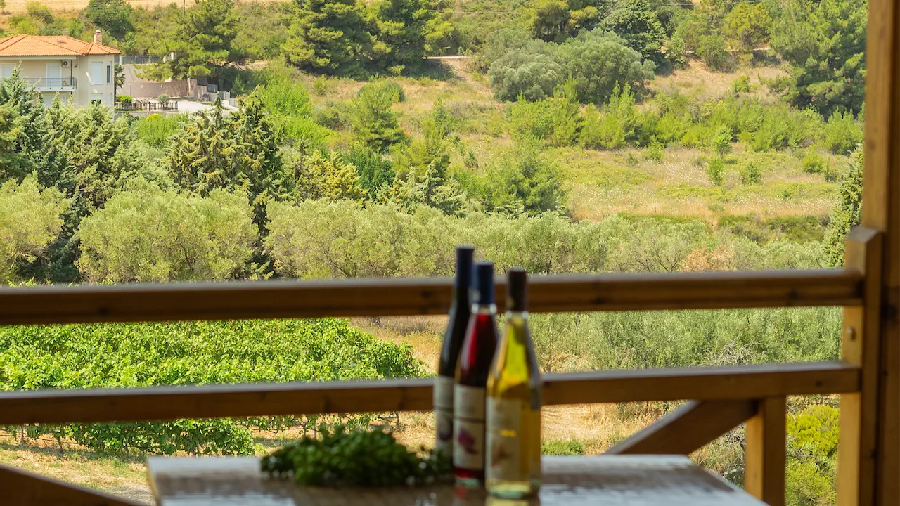 Wine Tour and Tasting Experience at Domaine Florian